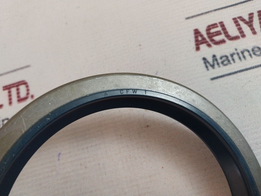 Cfw Fud5 100-125 Sealing Ring