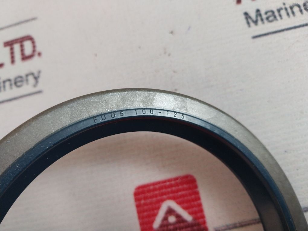 Cfw Fud5 100-125 Sealing Ring