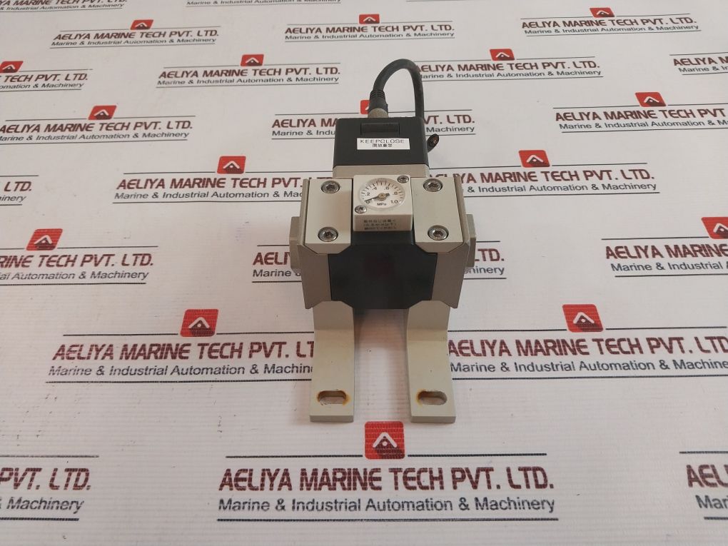 Ckd Ev2500-208 Electro-pneumatic Regulator C11E2B-fl375578 24Vdc