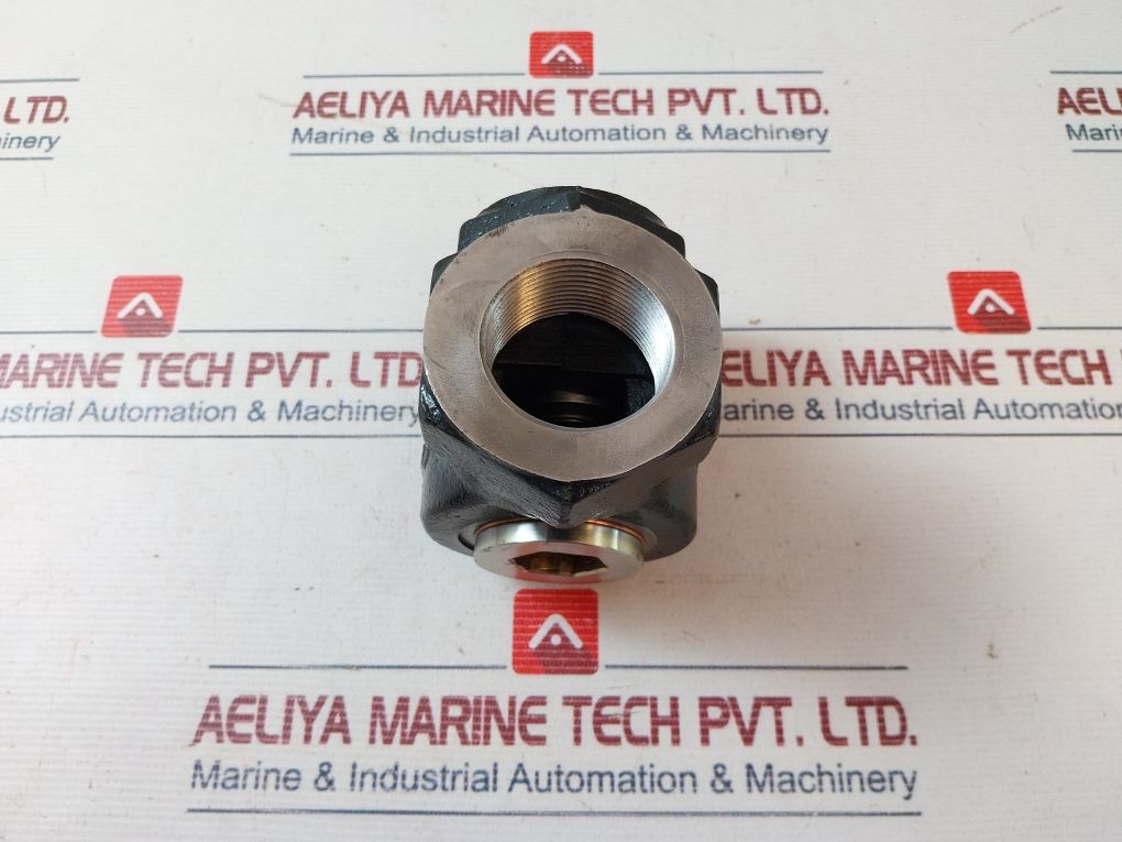 Clayton 1000 Wog Stainless Steel Seat Check Valve 1.5 Inch 350 Psi