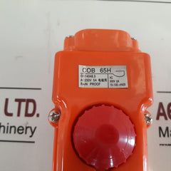 Cob 65H Push Button Control Station Ac250V 5A