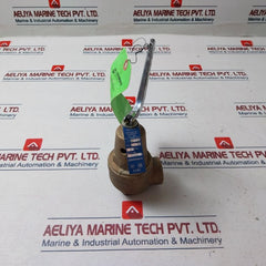 Conbraco 10-614-01 Hot Water Relief Valve