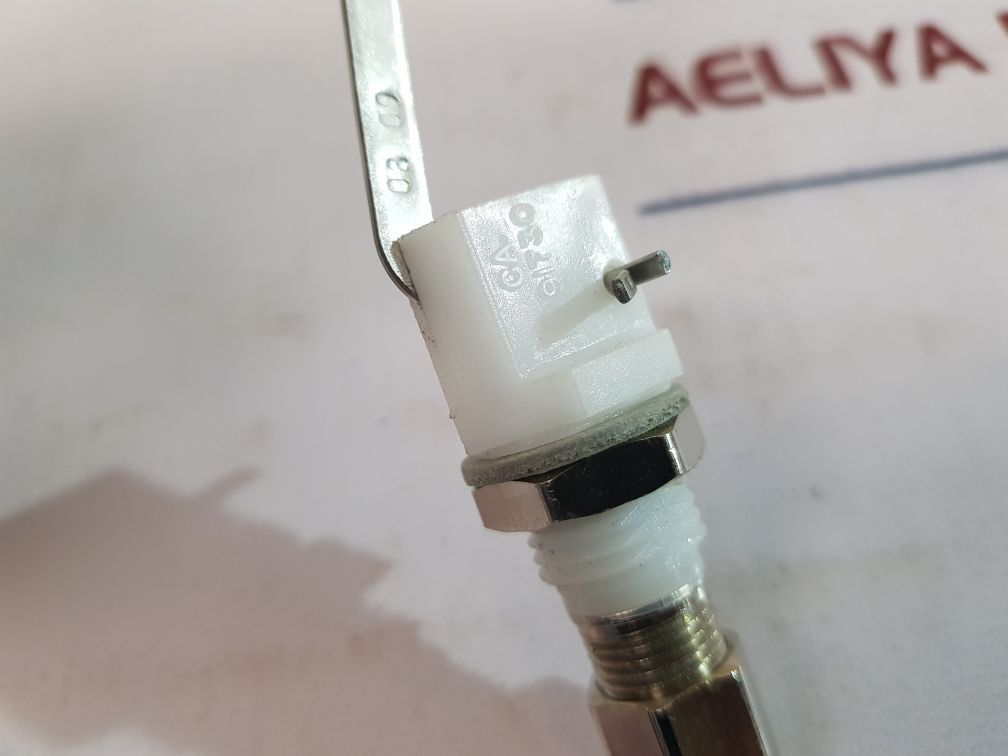 Cornelius Float & Valve