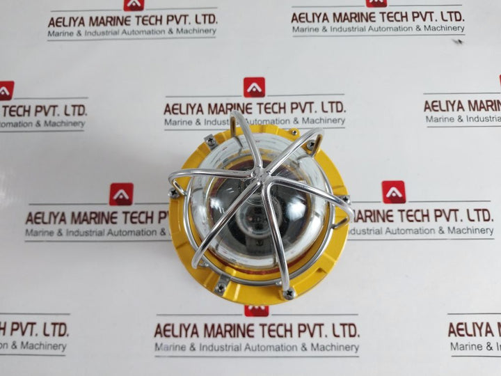 Cortem Evx-5050 Explosion Proof Lighting Fixture