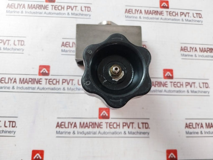 D27450 Indicator Valve Complete Valv.0110.001