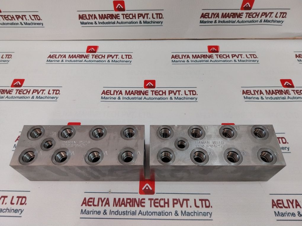 Daman Dd03P042S Ductile Valve Manifold 0618