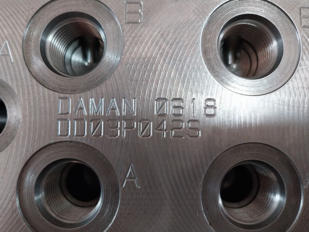 Daman Dd03P042S Ductile Valve Manifold 0618