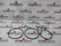 Damcos 219-0313 Hydraulic Actuator Seal Packing Set