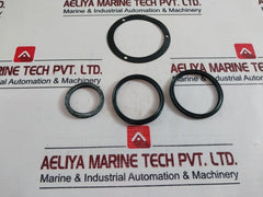 Damcos 219-0388 Rotary Actuator Seal Set 002-a1