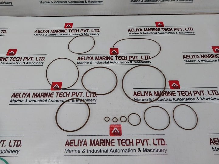 Danfoss 11035671 Replacement Of Control Gasket Seal Kit