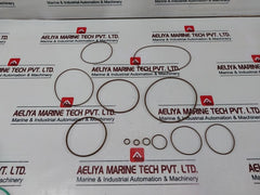 Danfoss 11035671 Replacement Of Control Gasket Seal Kit