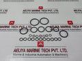 Danfoss 11035671 Replacement Of Control Gasket Seal Kit