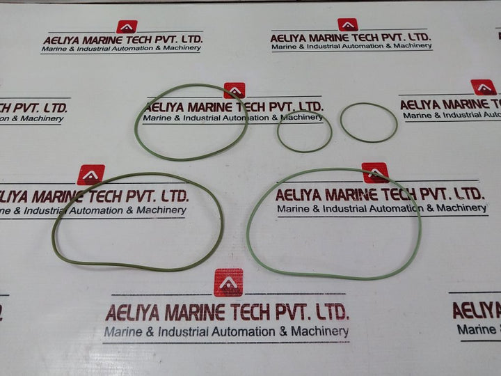 Danfoss 11035671 Replacement Of Control Gasket Seal Kit