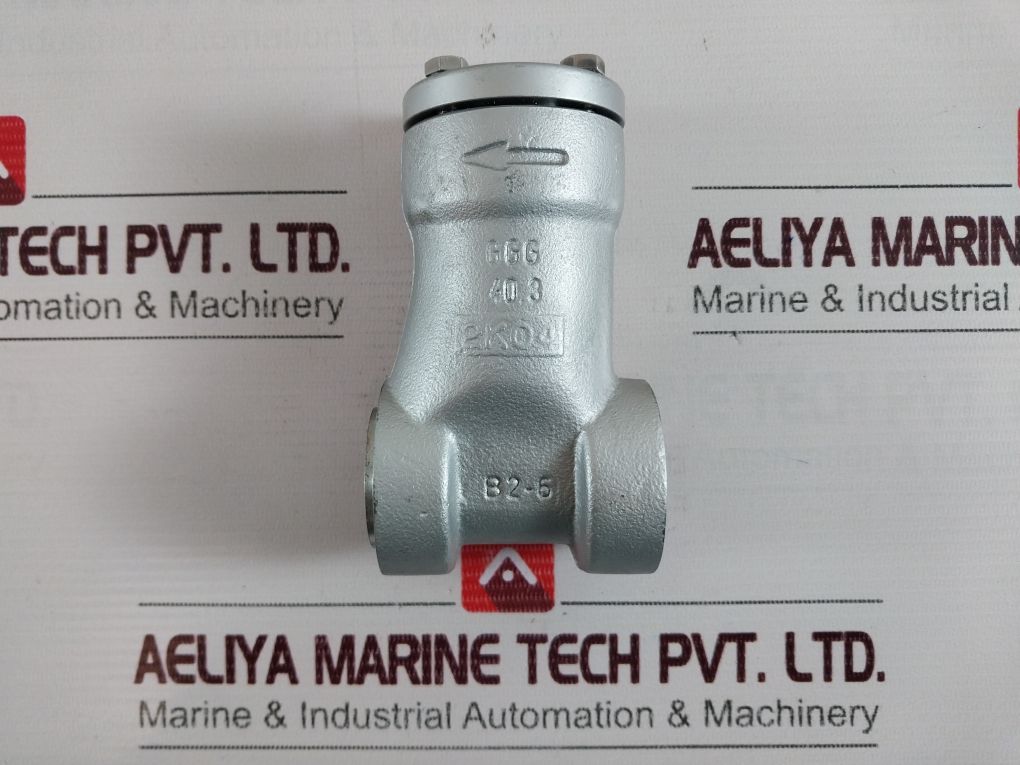 Danfoss 6-413 Ggg 40.3 Ductile Cast Iron Valve B2-6 2K04