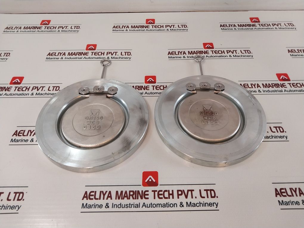 Dansk Ventil 6140 Swing Check Valve 25 Bar Pn25