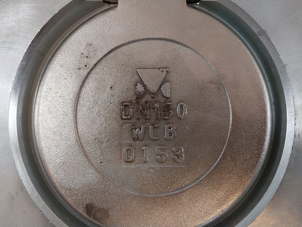 Dansk Ventil 6140 Swing Check Valve 25 Bar Pn25