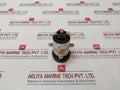 Dav Industries 22 Automatic Semaphore Indicator
