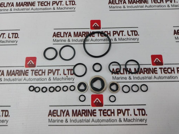 Denison S29-15456 Seal Kit H & E Pump Sta910.001.0217P