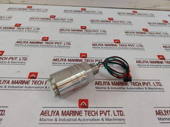 Det-tronics C7064E4012 Hydrogen Sulfide (H2S) Sensor 24Vdc