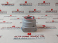 Detcon Tp-624D Microsafe H2S Gas Sensor