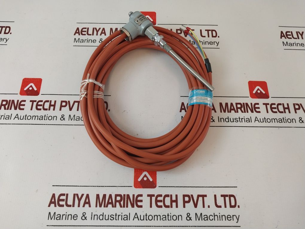 Dittmer 1Xpt100 206D