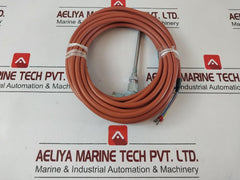 Dittmer 1Xpt100 206D Temperature Sensor