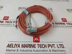 Dittmer 1Xpt100 206D Temperature Sensor