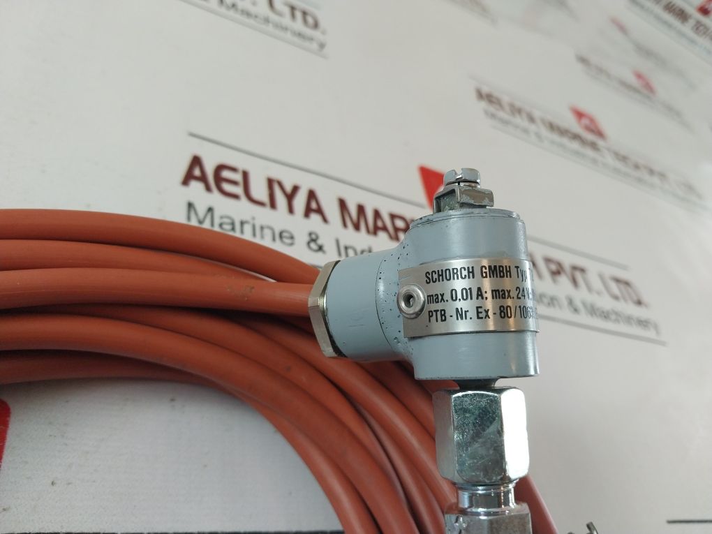 Dittmer 1Xpt100 206D Temperature Sensor
