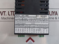 Dpm 4001 Universal Process Indicator