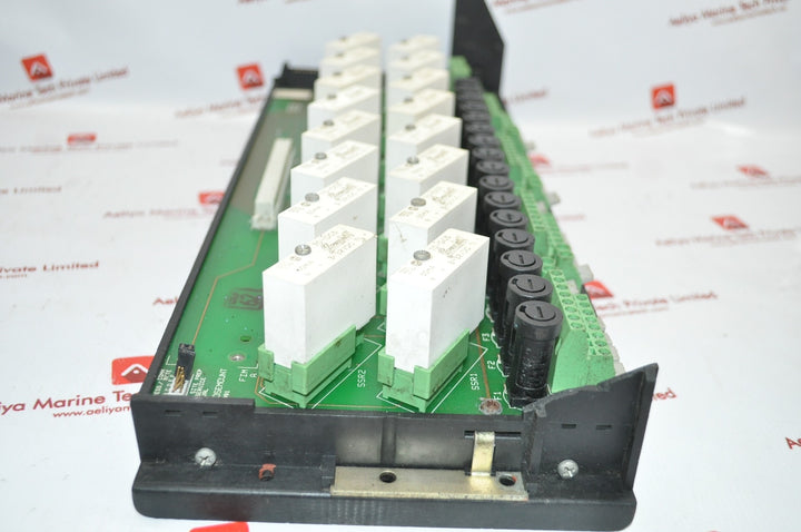 Rosemount 01984-4121-0001 Isolated Discrete Termination Panel A