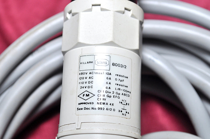 Stahl 8003/2 operator control switch