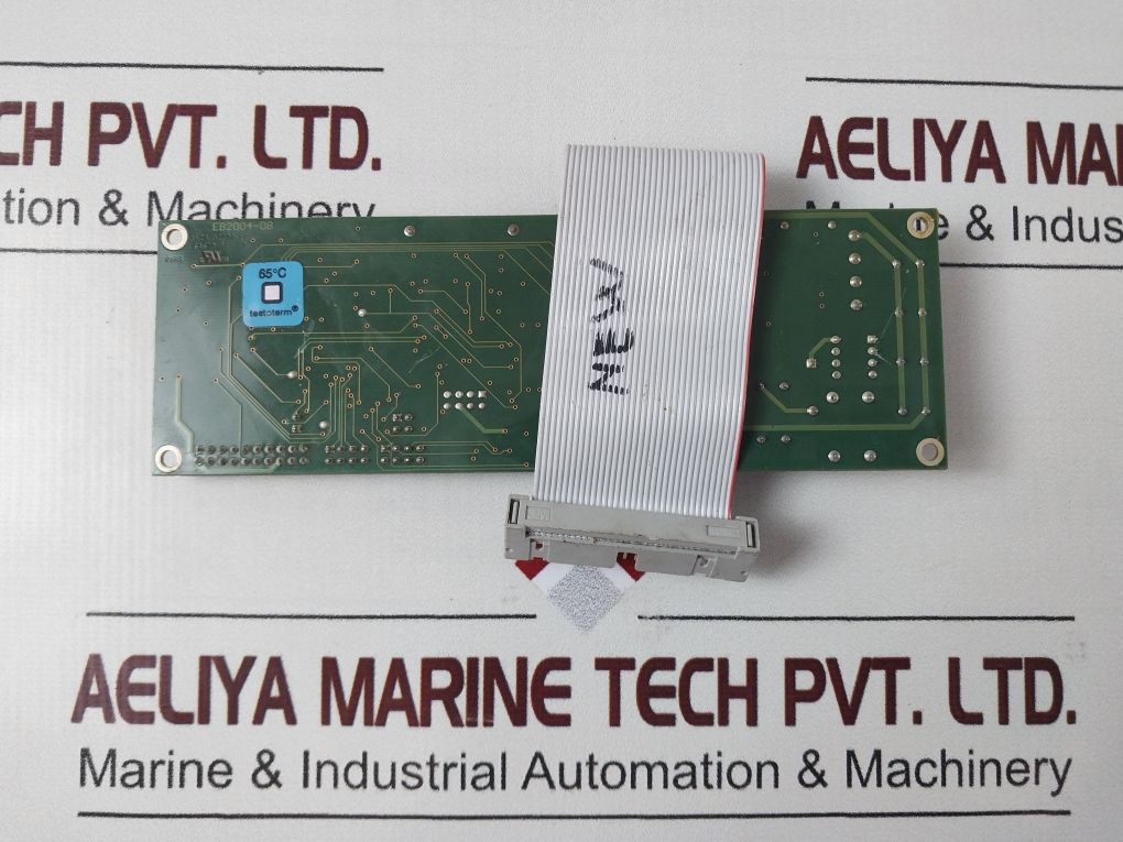 Dsp 8766 Pcb Card V3.21
