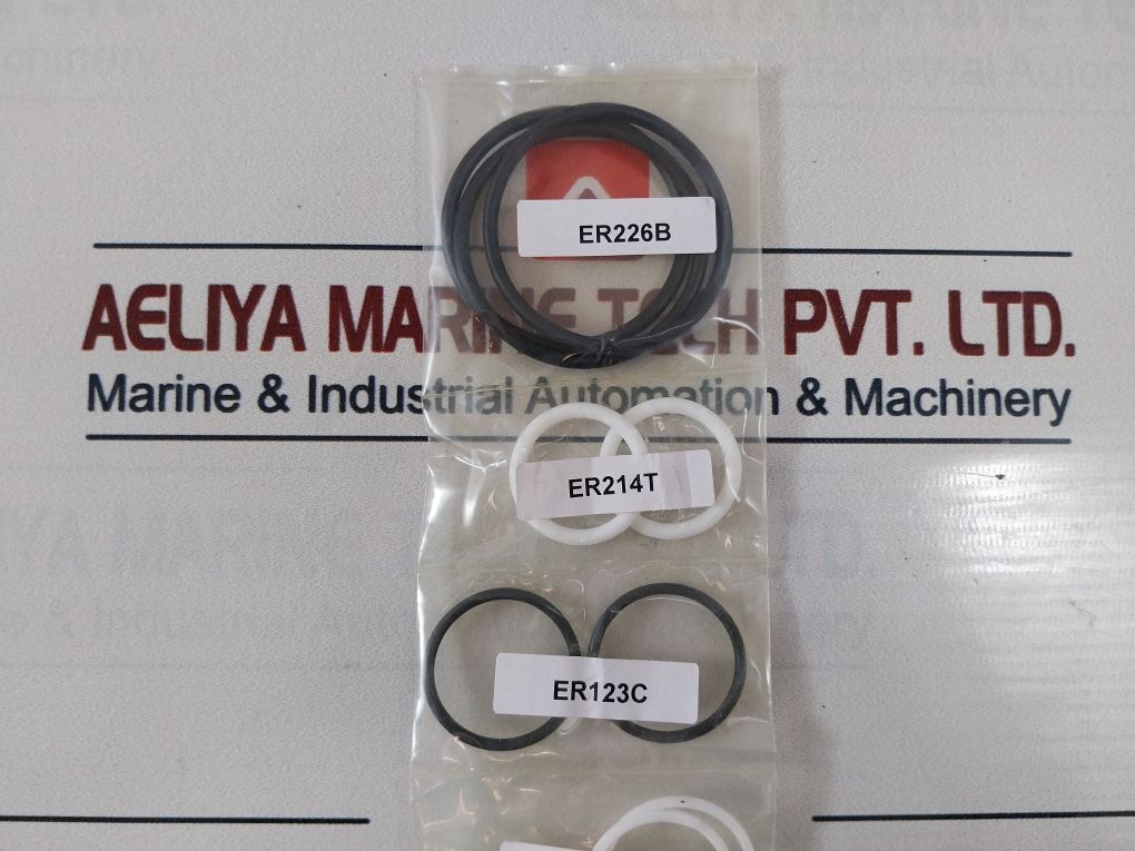 Dtl Technologies Sh1101Rk 2786056-03-99 Shuttle Valve 1 In Stackable Repair Kit