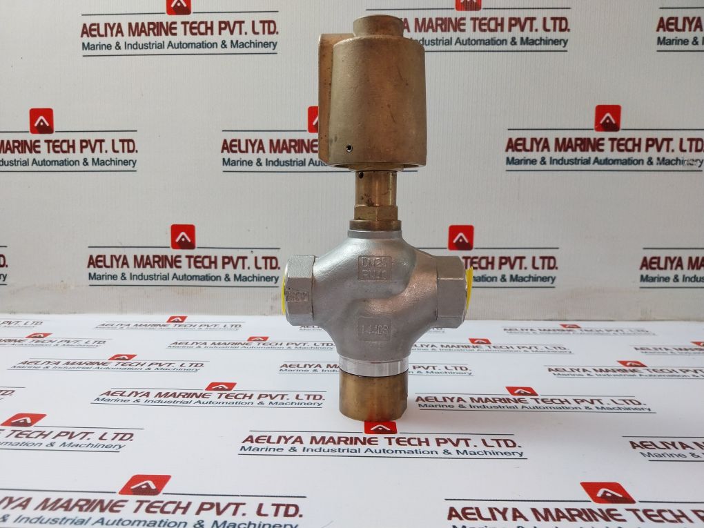 Ea-end Armaturen Dn25 Pn40 1.4408 Brass Regulator For Stainless Valve