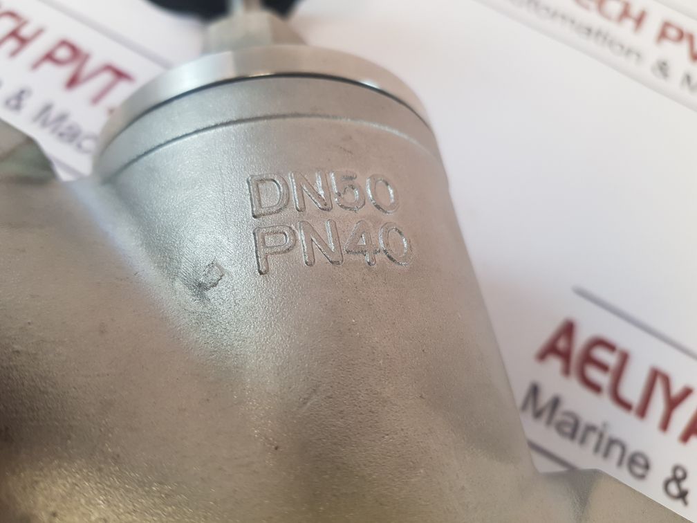 Ea 1.4408 Seat Valve