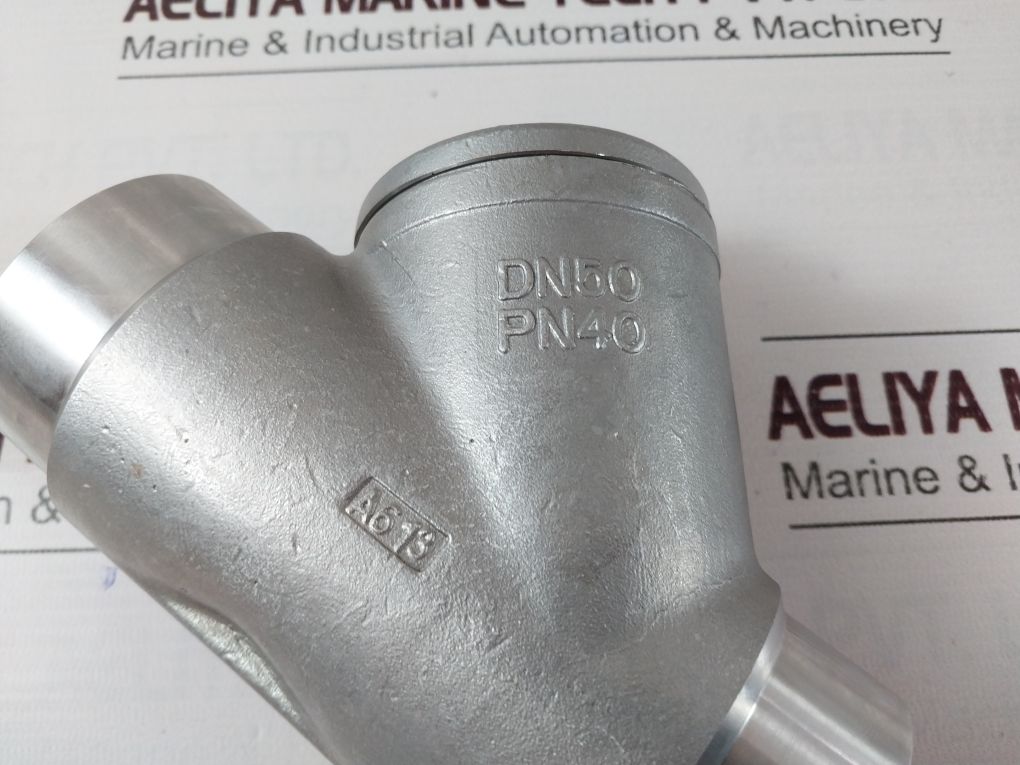 Ea 1.4408 Filter Valve