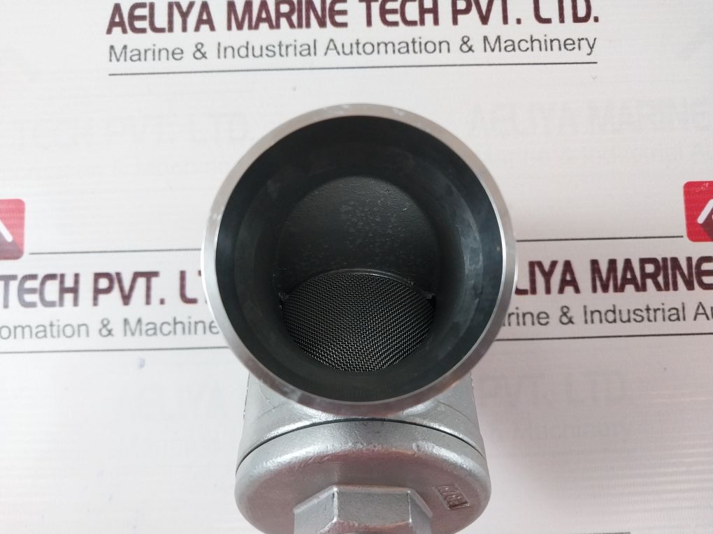 Ea 1.4408 Filter Valve