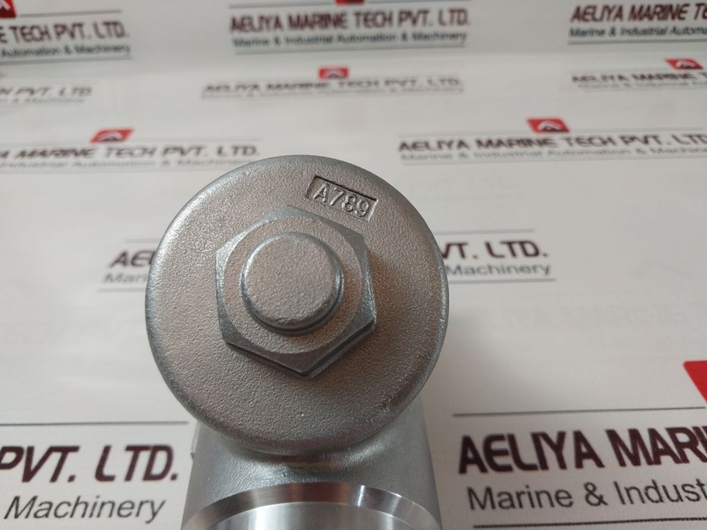 Ea 1.4408 Filter Valve