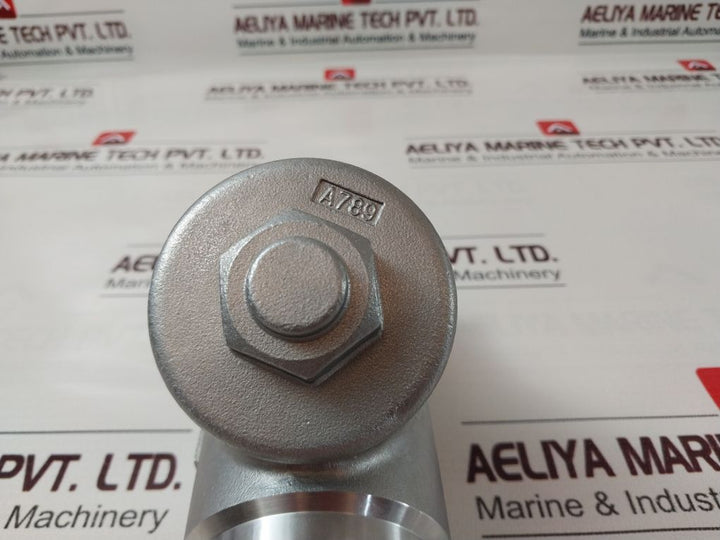 Ea 1.4408 Filter Valve