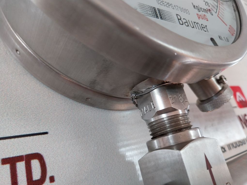 Eagleburgmann Ss 316L Pressure Gauge