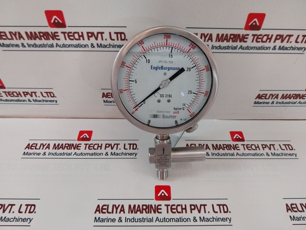 Eagleburgmann Ss 316L Pressure Gauge