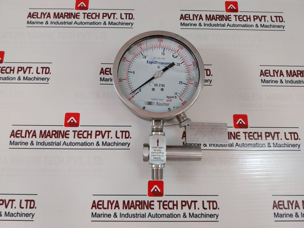 Eagleburgmann Ss 316L Pressure Gauge