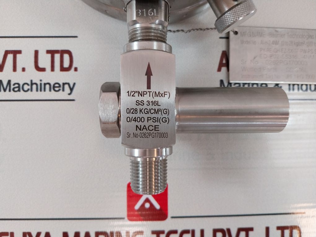 Eagleburgmann Ss 316L Pressure Gauge