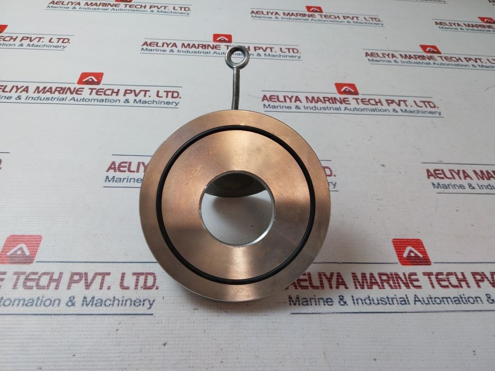 Econosto Dn 80 Pn 10-40 Check Valve-wafer Style