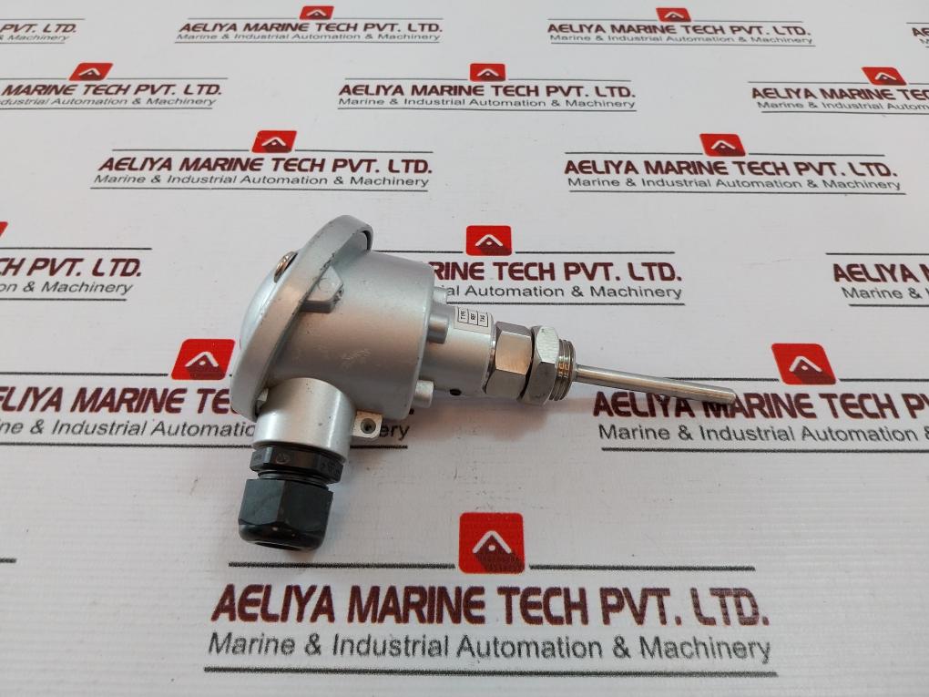 Ectech Pt100 Temperature Sensor 0-100C – Aeliya Marine Tech