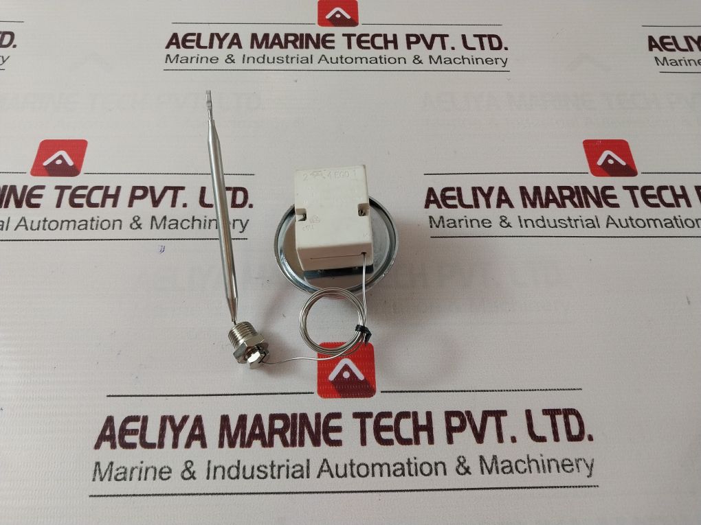 Ego 55.13022.470 Thermostat