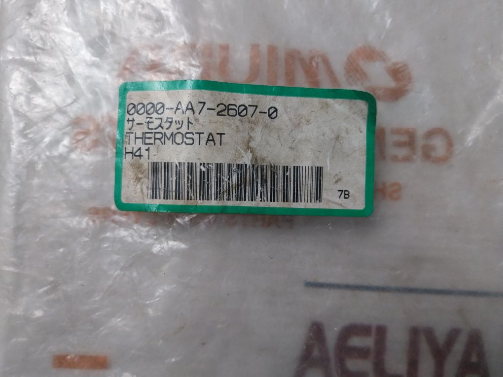 Ego 55.13232.040 Thermostat