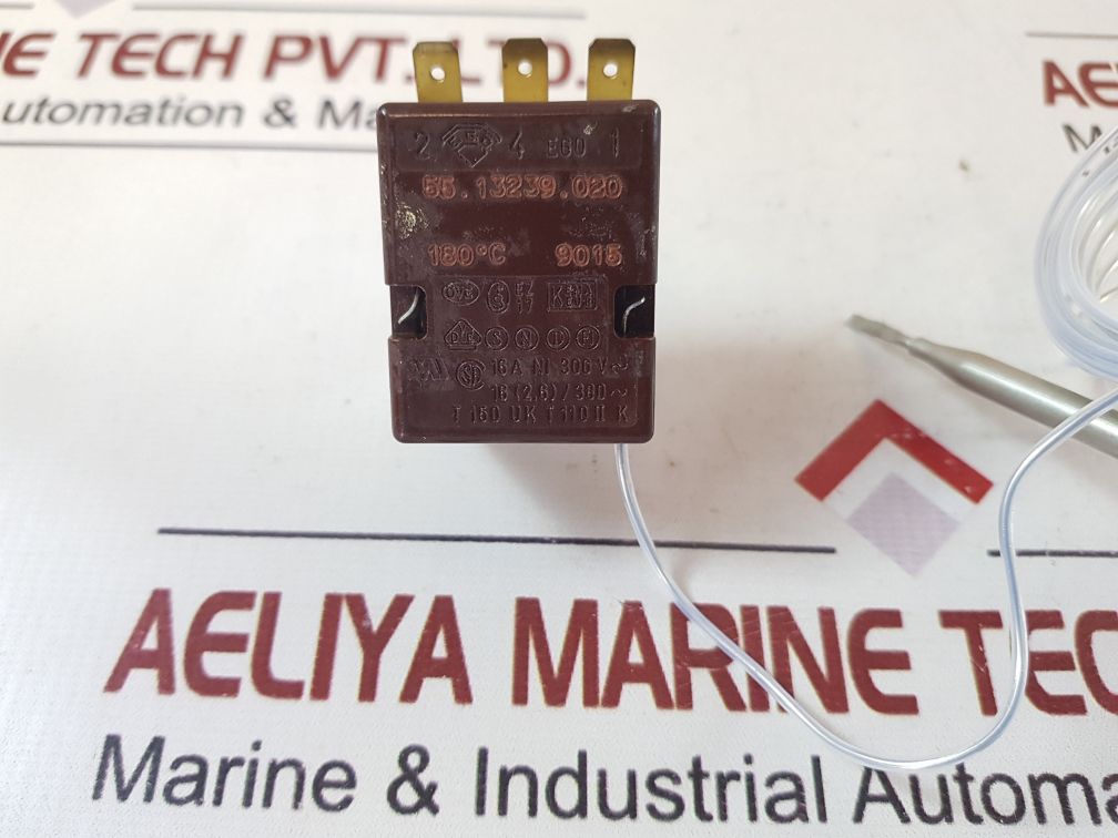 Ego 55.13239.020 Thermostat