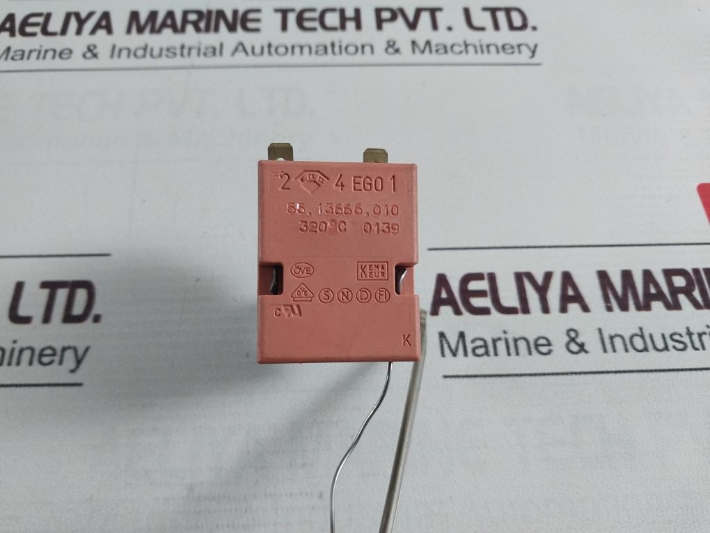 Ego 55.13666.010 Thermostat