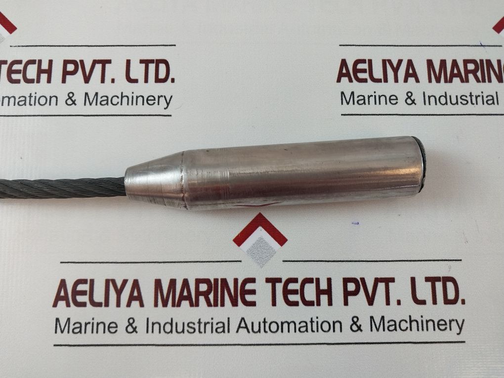 Eip 555 Capacitance Level Switch